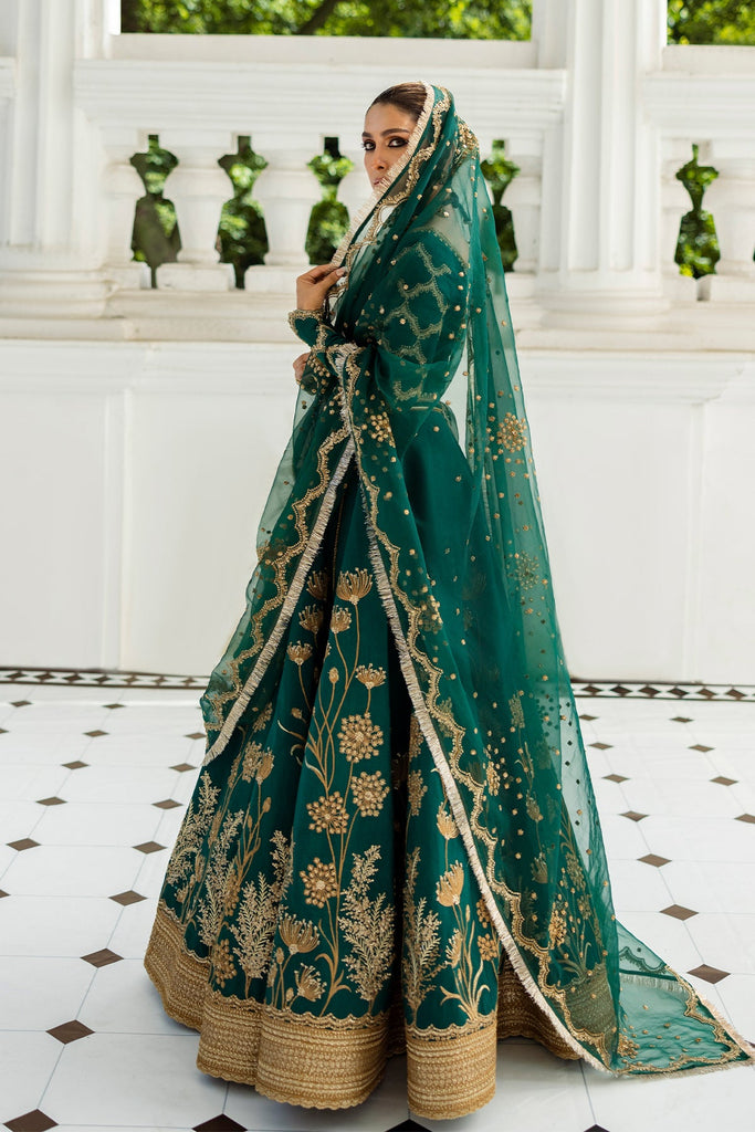 ERUM KHAN - Evergreen