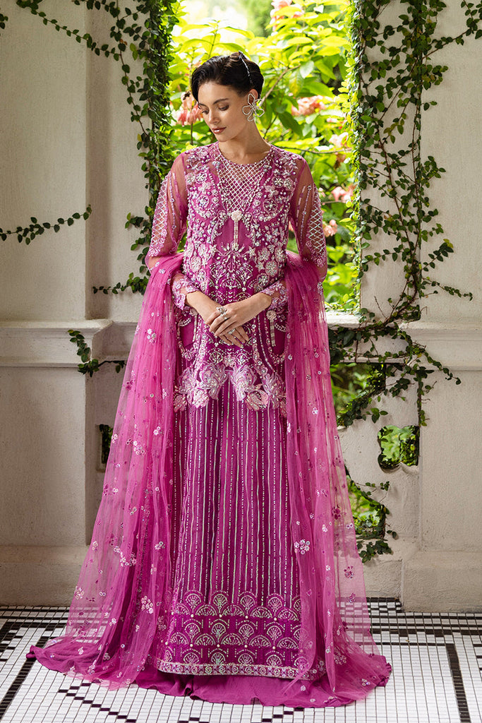 MUSHQ - Sweet November