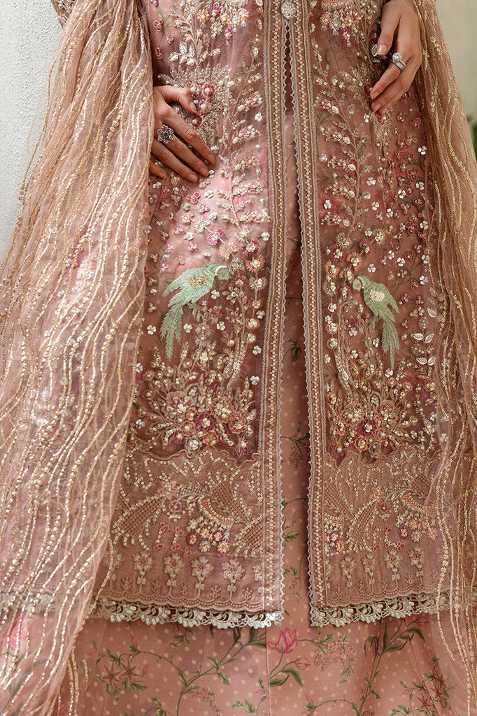 MUSHQ - Before Sunrise