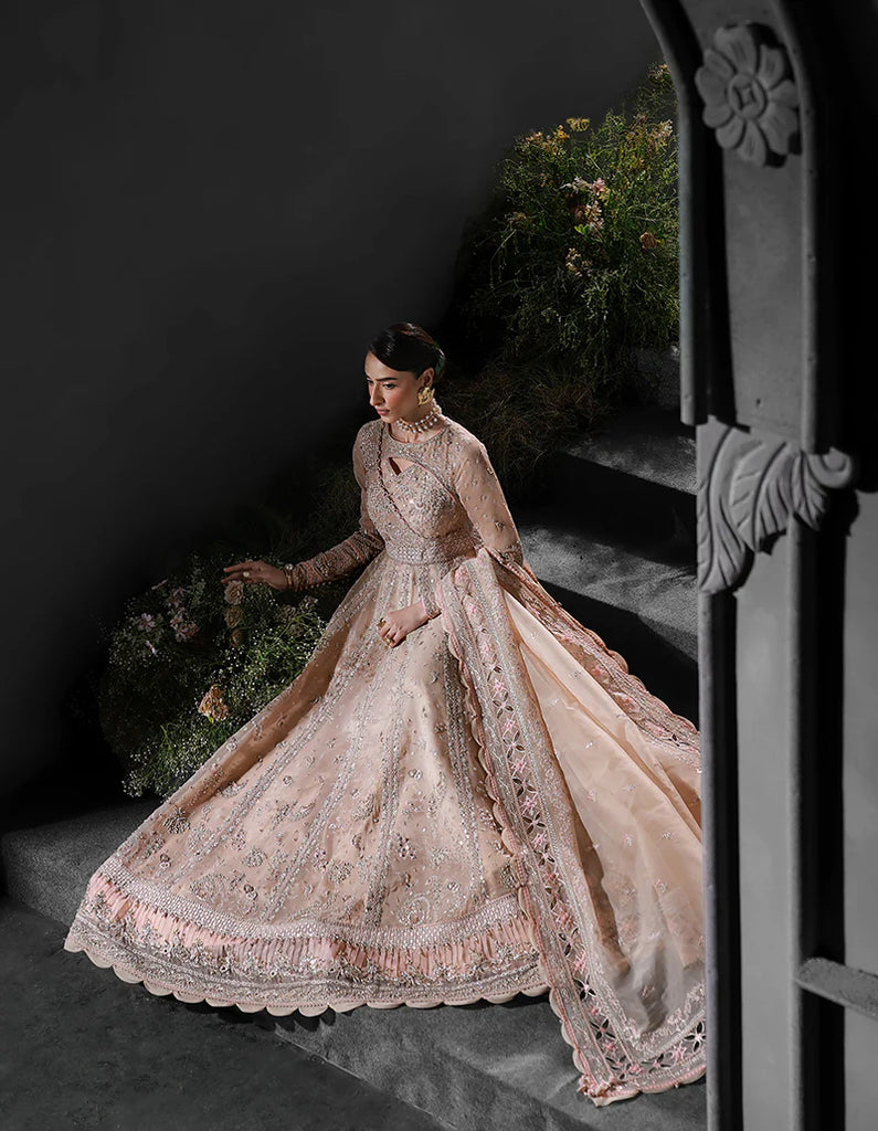 Qalamkar- MF-01 LUSTRA