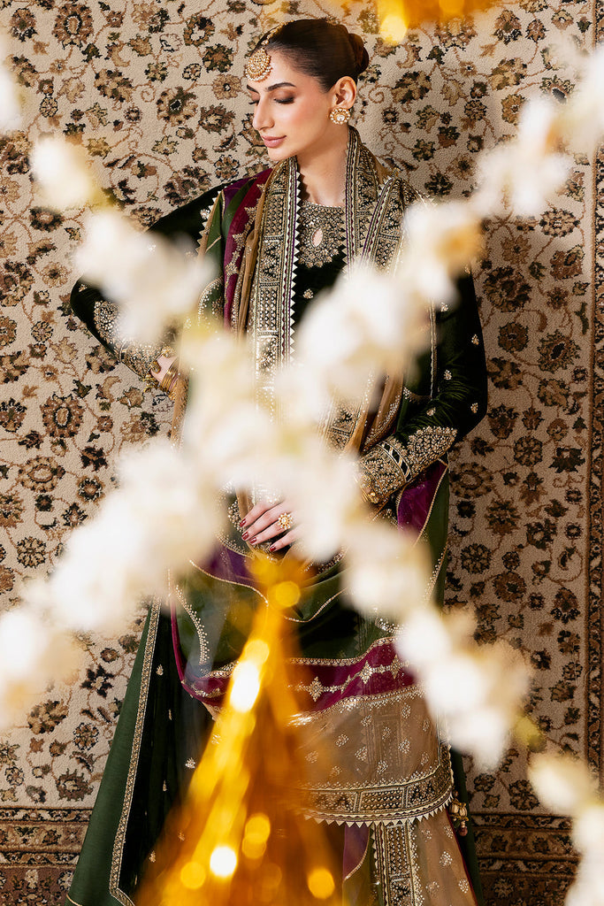 JAZMIN - Embroidered Velvet Formal CVF D-09