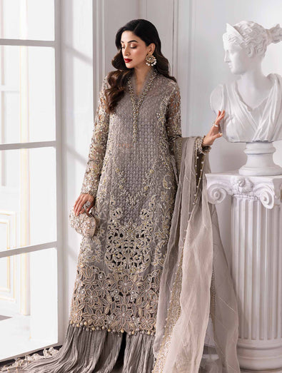 Embroidered Organza Suit | BD-3006