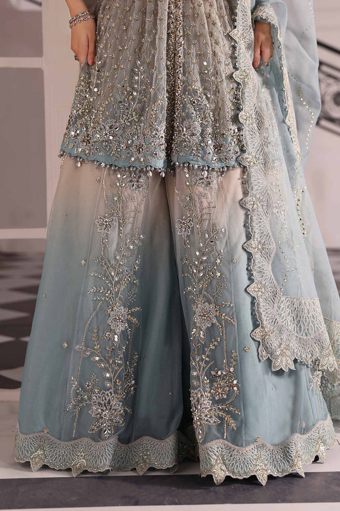 Embroidered Net Suit | BD-3002