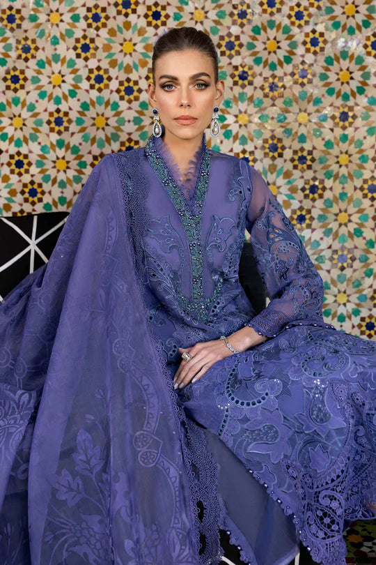 Embroidered Organza Suit | D-2506-B