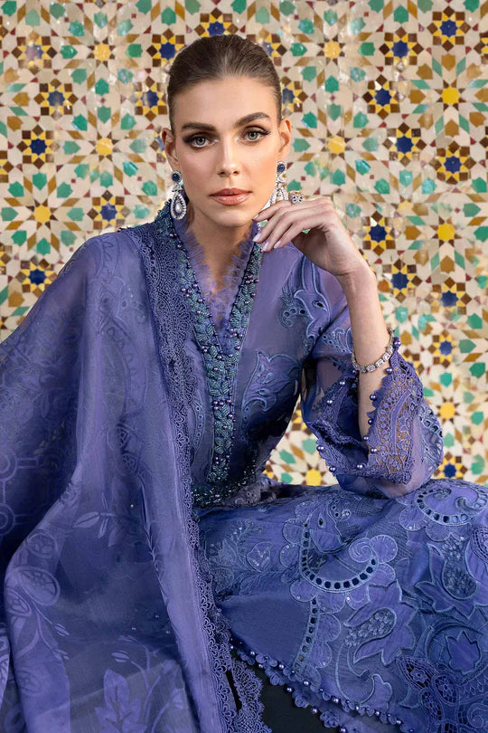 Embroidered Organza Suit | D-2506-B