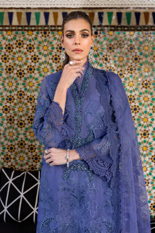 Embroidered Organza Suit | D-2506-B