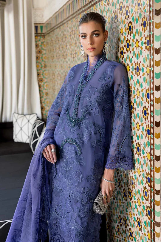 Embroidered Organza Suit | D-2506-B