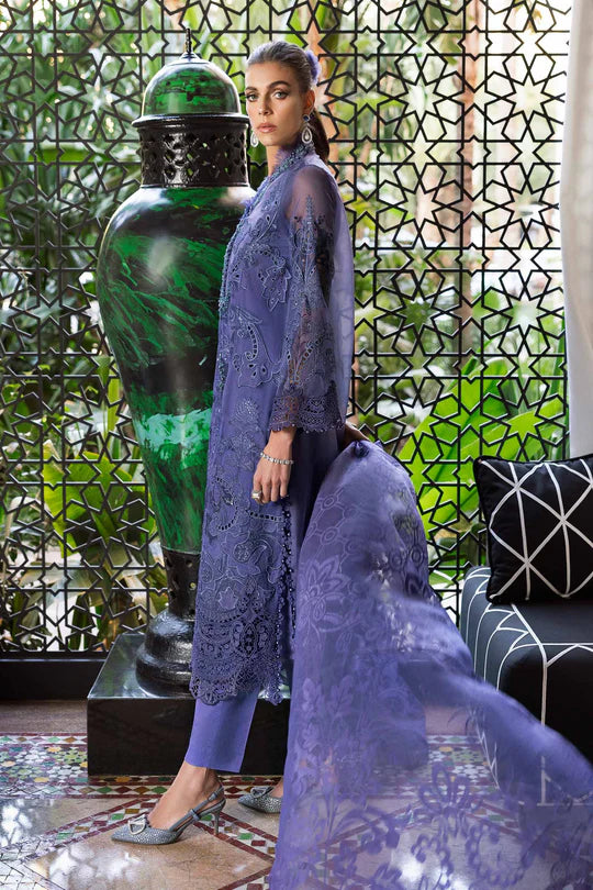 Embroidered Organza Suit | D-2506-B