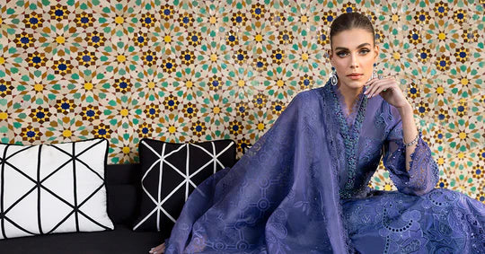 Embroidered Organza Suit | D-2506-B