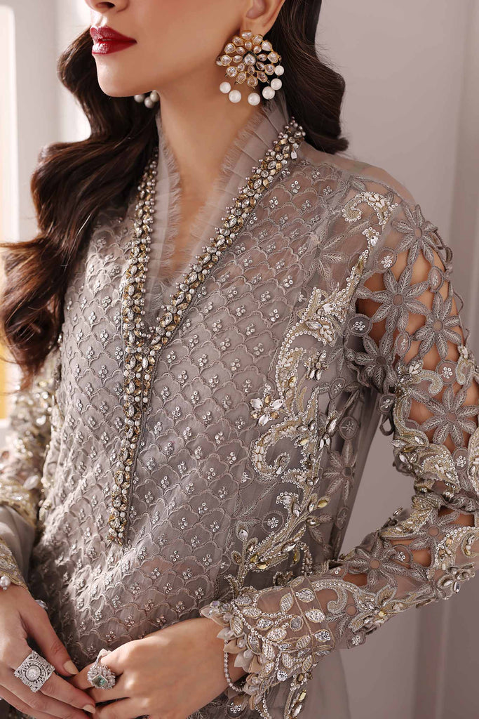 Embroidered Organza Suit | BD-3006