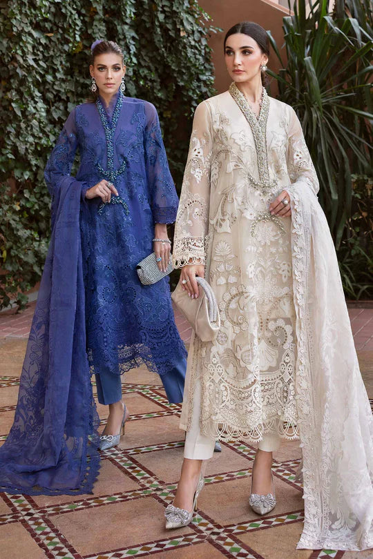 Embroidered Organza Suit | D-2506-B