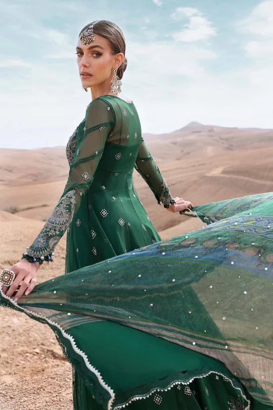 Embroidered Net Suit | D-2507-A
