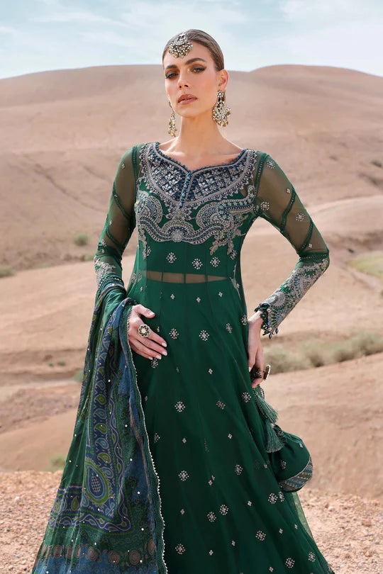 Embroidered Net Suit | D-2507-A