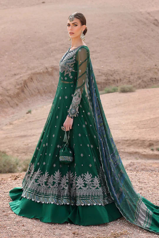 Embroidered Net Suit | D-2507-A
