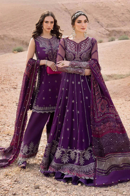 Embroidered Net Suit | D-2507-B