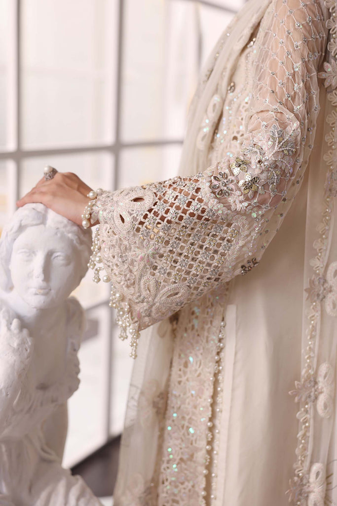 Embroidered Chiffon Suit | BD-3007