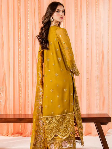 Zari Noor