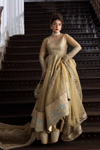 ERUM KHAN - Golden Glow