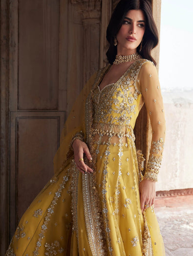 ZAHA- SURAJMUKHI (ZC25-02)