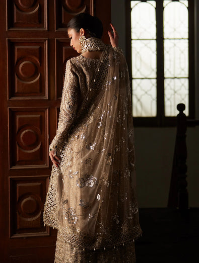 Saad Bin Shahzad - ZELY