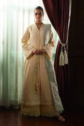 Saad Bin Shahzad - DANEEN