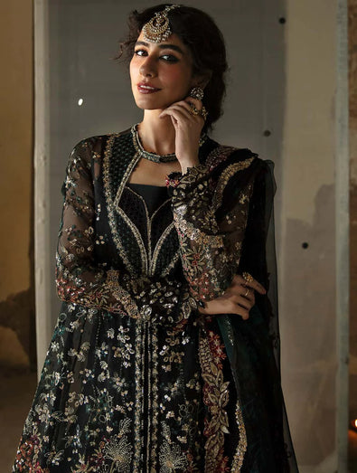 Afrozeh - Meera