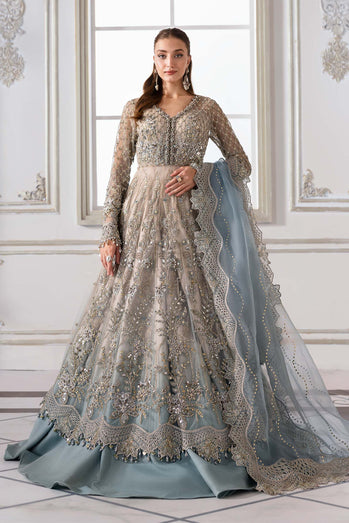 Embroidered Net Suit | BD-3002