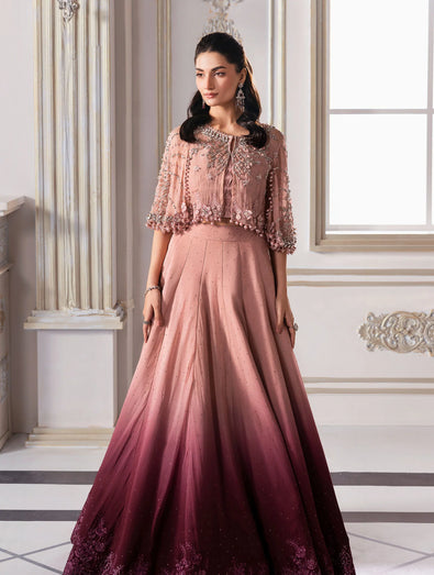 Embroidered Chiffon Saree | BD-3001