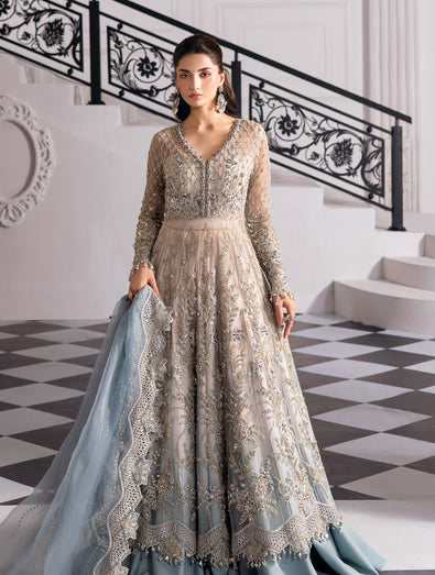 Embroidered Net Suit | BD-3002