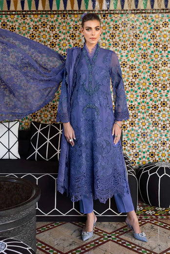 Embroidered Organza Suit | D-2506-B