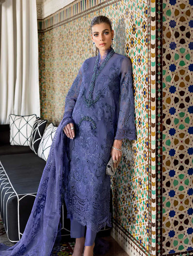 Embroidered Organza Suit | D-2506-B