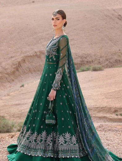 Embroidered Net Suit | D-2507-A