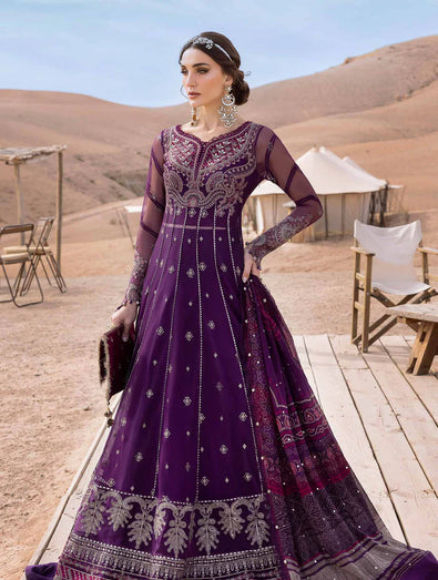 Embroidered Net Suit | D-2507-B