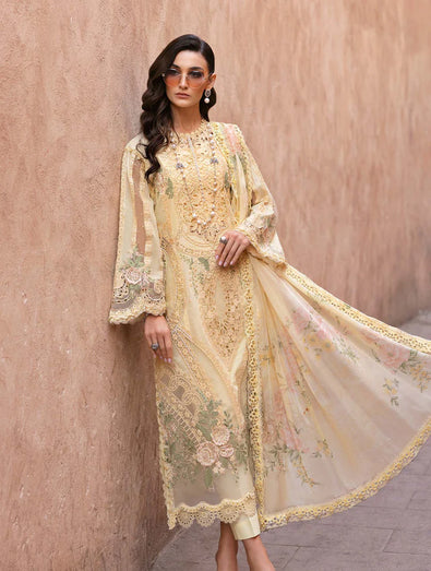 Embroidered Organza Suit | D-2509-A