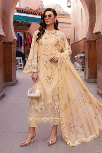 Embroidered Organza Suit | D-2509-A